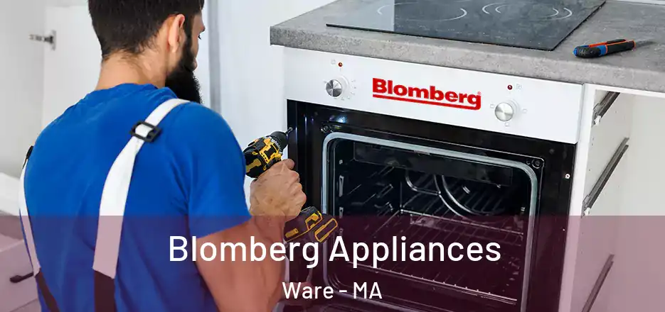 Blomberg Appliances Ware - MA