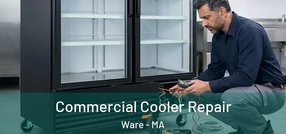 Commercial Cooler Repair Ware - MA