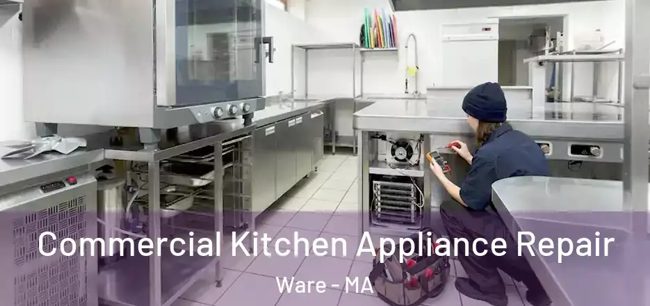 Commercial Kitchen Appliance Repair Ware - MA