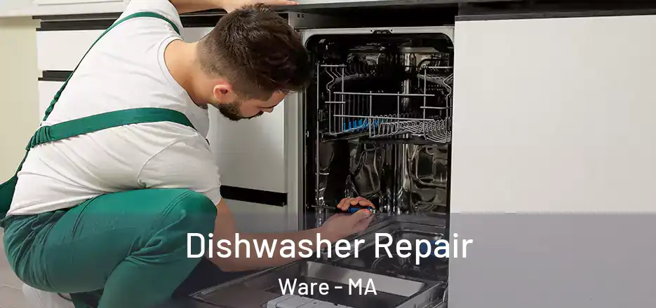 Dishwasher Repair Ware - MA