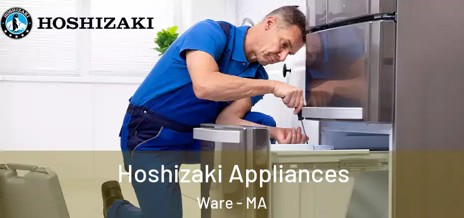 Hoshizaki Appliances Ware - MA