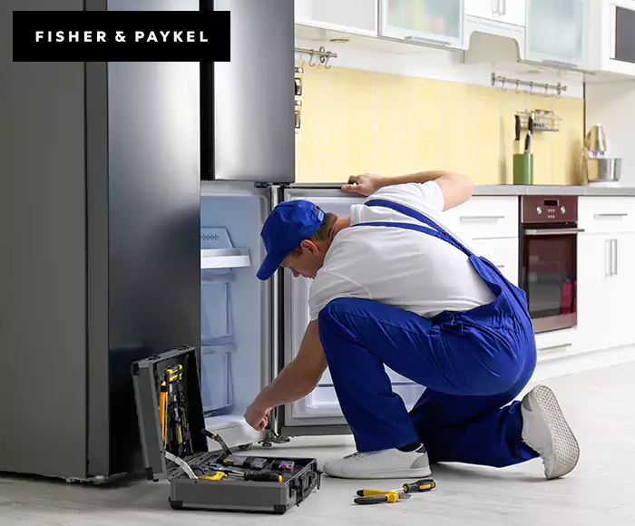 Top-Rated Fisher & Paykel Appliance Experts: Your Brand Specialist in Ware, MA
